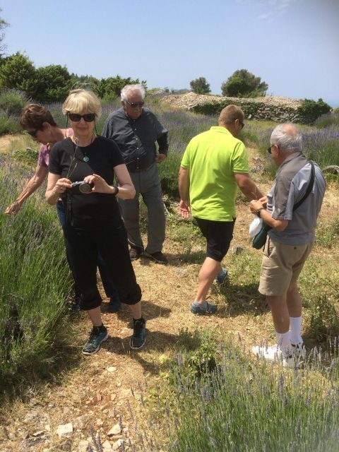 Food Tour: Traditional Flavours and Food Sampling on Hvar - The Value of the Price