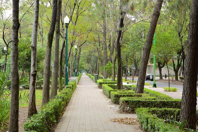 Foodie Tour in Polanco: Mexico Culinary roots! - The Experience and Logistics