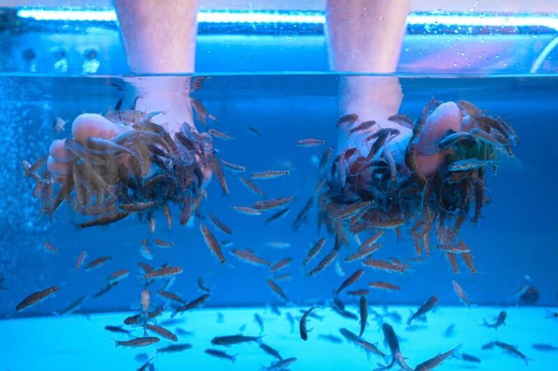 Foot care experience and Fish Spa Playa Fañabé - FAQ