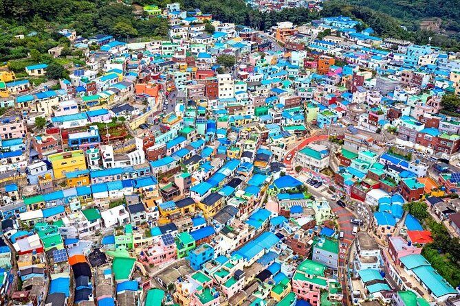 For Busan Cruise Guest highlight Day tour - Who Will Love This Tour?