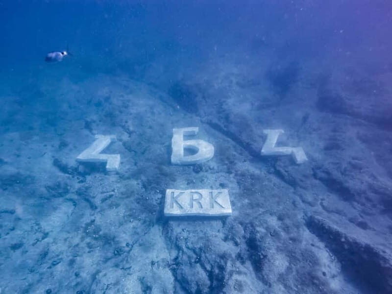 For Families: 45-minute Semi-submarine tours with a mermaid - Who Will Love This Tour?