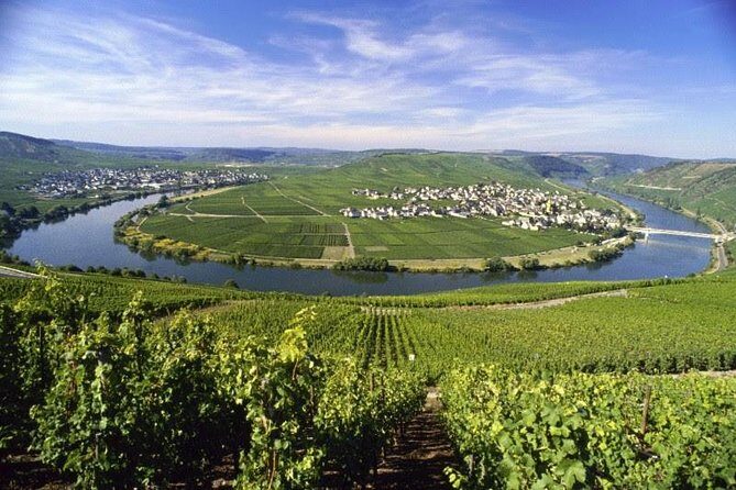 For the love of Riesling - Mosel Wine tour - A Closer Look at the "For the Love of Riesling" Mosel Wine Tour