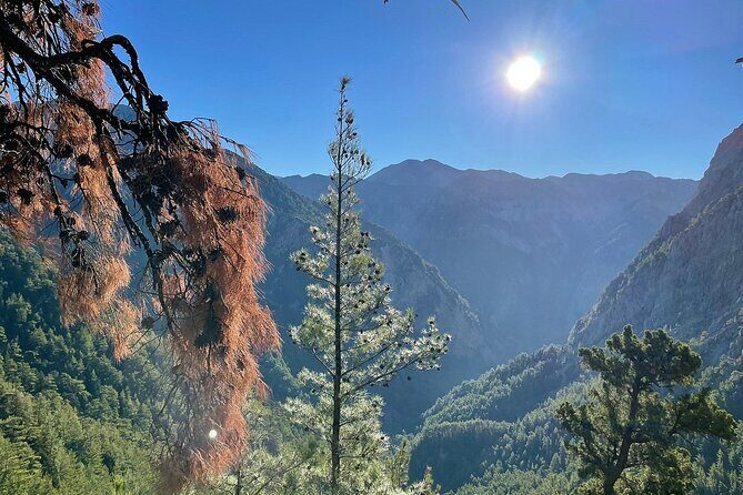 For the Wild Ones: White Mountains & Samaria Gorge Sightseeing - Key Points
