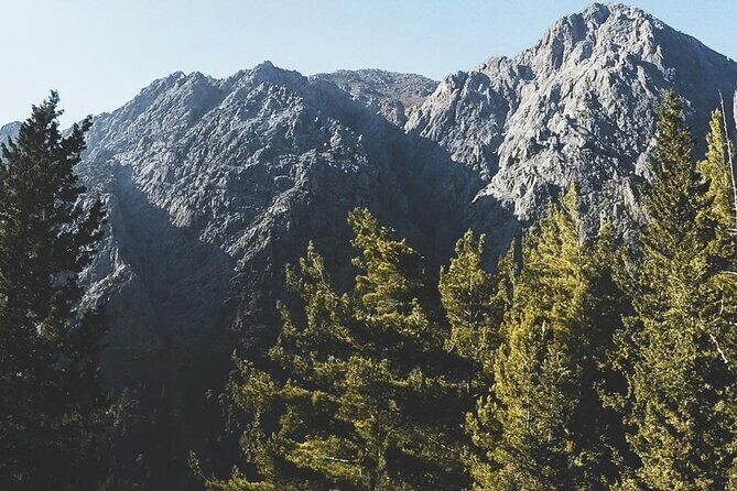For the Wild Ones: White Mountains & Samaria Gorge Sightseeing - Price and Value