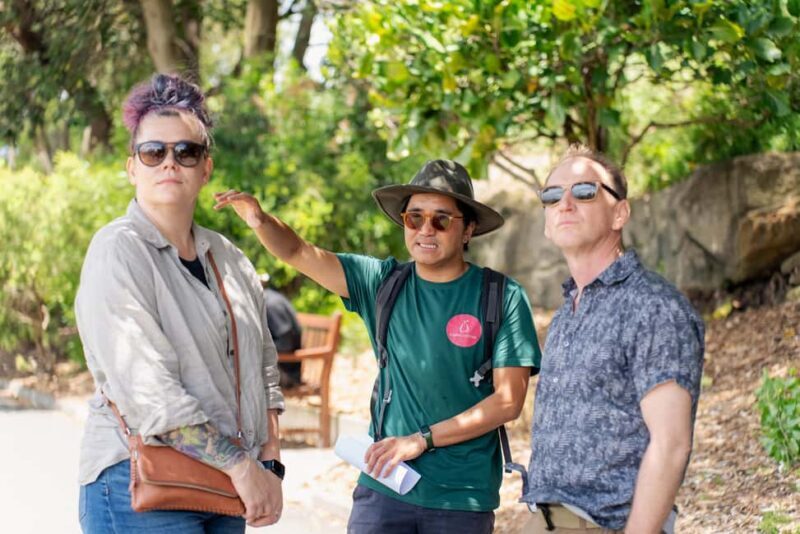 Foraging Food Tour Sydney Native Aussie Food - A Detailed Look at the Foraging Food Tour in Sydney