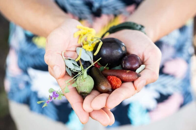 Foraging Food Tour Sydney Native Aussie Food - Who Will Love This Tour?