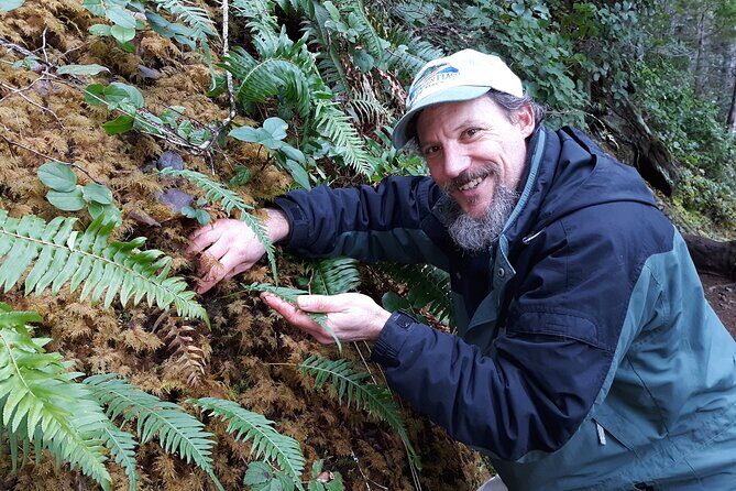 Foraging Tour of Edible Plants and Mushrooms in Brinnon - Key Points