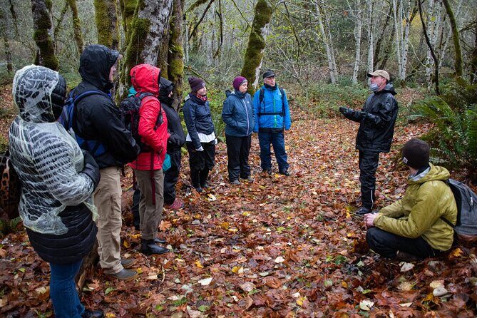 Foraging Tour of Edible Plants and Mushrooms in Brinnon - Why This Tour Offers Great Value