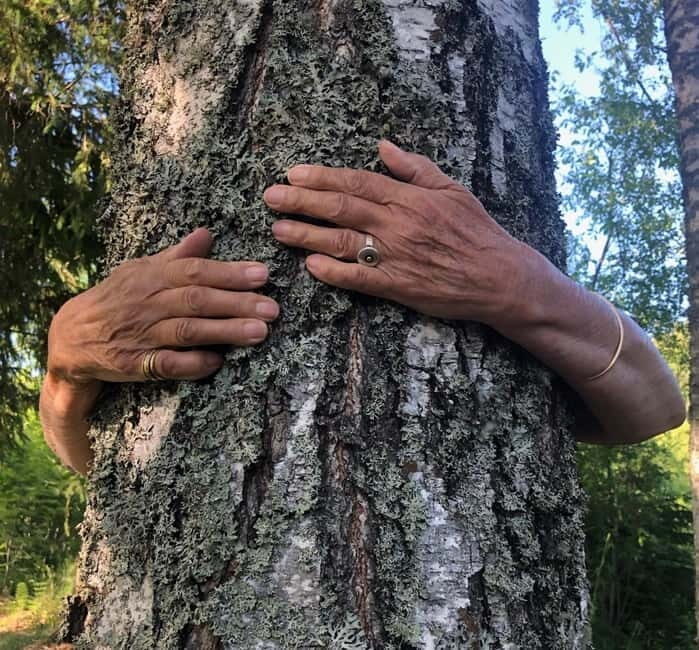 Forest Bathing in Stockholm nature with certified guide - An Honest Look at the Forest Bathing Experience in Stockholm