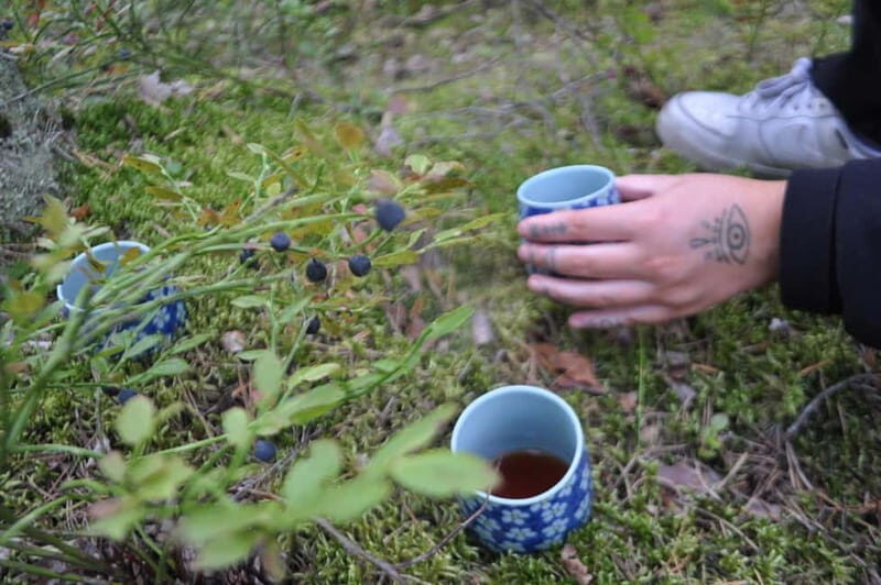 Forest Bathing in Stockholm nature with certified guide - Why Choose This Forest Bathing Tour?