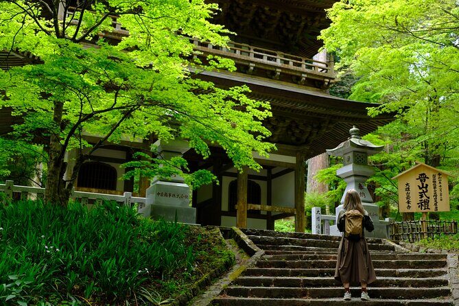 Forest Bathing in Temple and Enjoy onsen with healing power - A Calm Escape into Nature and Culture with a Touch of Healing