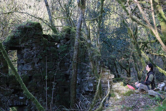 Forest Bathing in Tuscany with Wild Crafted Tea - FAQ