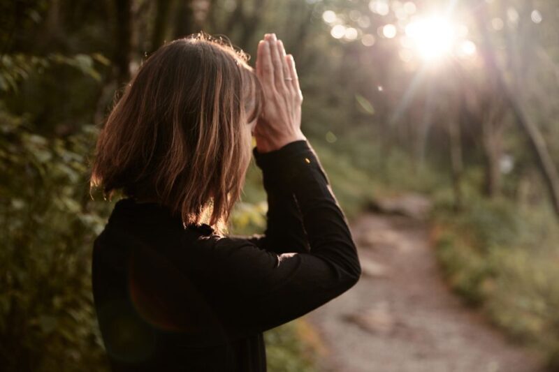 Forest Bathing & Nature Therapy Mini-Retreat - An Authentic Escape into Nature’s Calm in Pisgah Forest