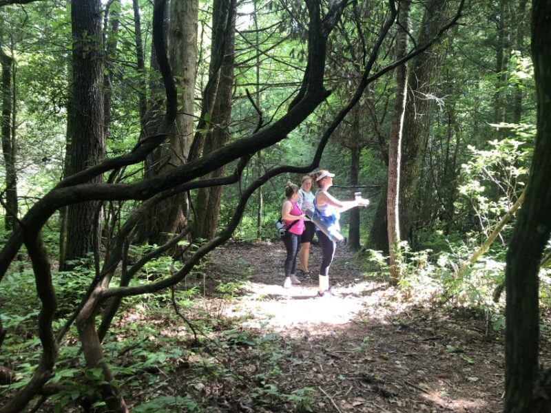 Forest Bathing & Nature Therapy Mini-Retreat - FAQ