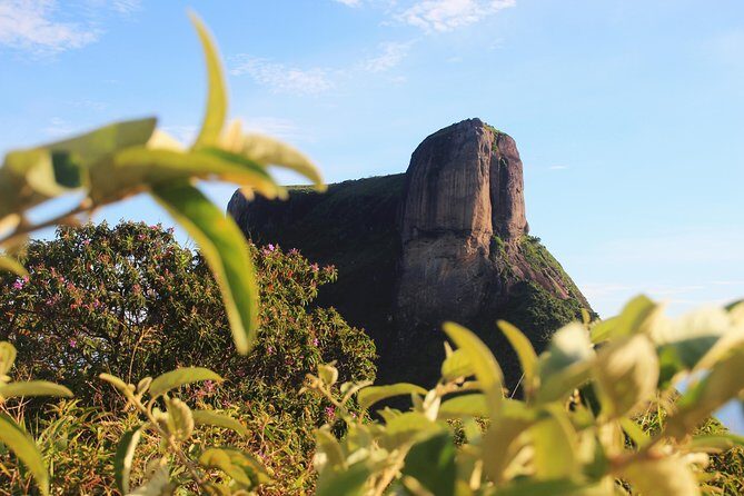 Forest Jeep Tour & Hike to Pedra Bonita (with drone!) - Who Will Love This Tour?