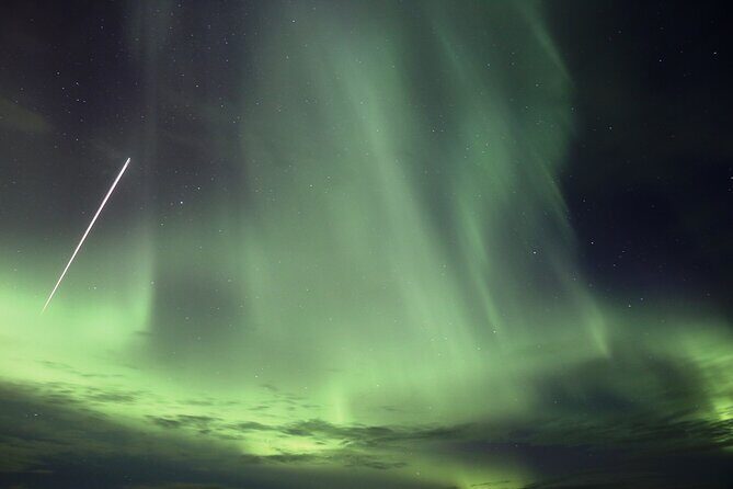 Forest Lagoon and Northern Lights Guided Night Tour - Exploring the Forest Lagoon and Northern Lights Guided Night Tour