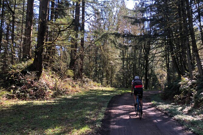 Forest Park Carbon Gravel Bike and E-Bike Tour - The Sum Up: Who Should Consider This Tour?