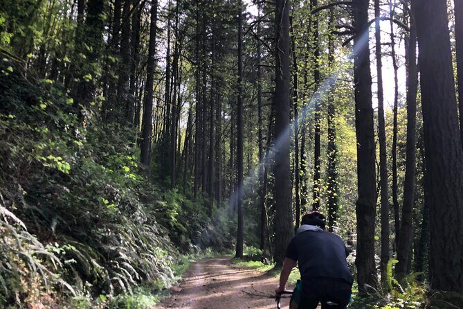 Forest Park Carbon Gravel Bike and E-Bike Tour - FAQ: Your Top Questions Answered