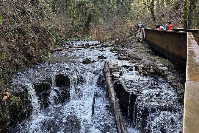Forest Park Hiking Tour to Pittock Mansion - Key Points