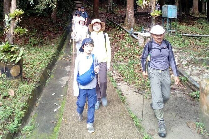 Forest Research Institute Malaysia FRIM Rainforest Private Tour - Wildlife and Ecosystem Encounters