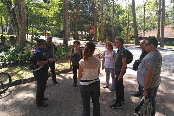 Forest Research Institute Malaysia FRIM Rainforest Private Tour - Practical Details: Transport, Timing, and Comfort