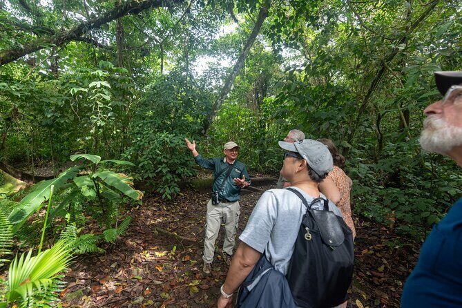 Forest & Rocks (Hanging Bridges & Volcano Hike) - Exploring the Forest & Rocks Tour in Depth
