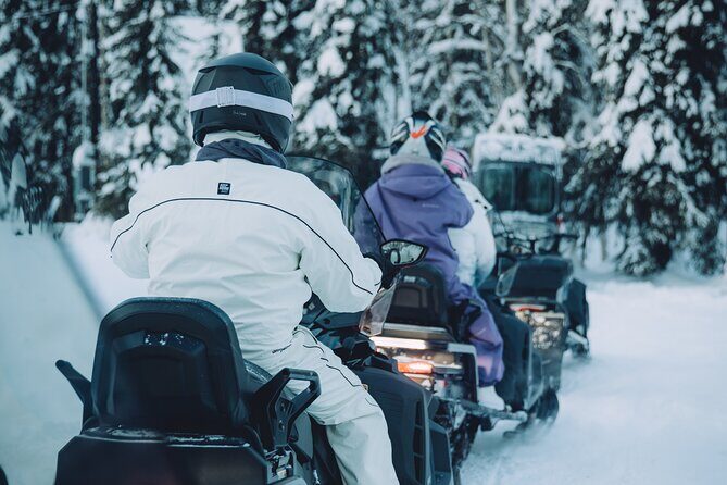 Forest Snowmobile Tour in Alaska - Discover the Forest Snowmobile Tour in Alaska