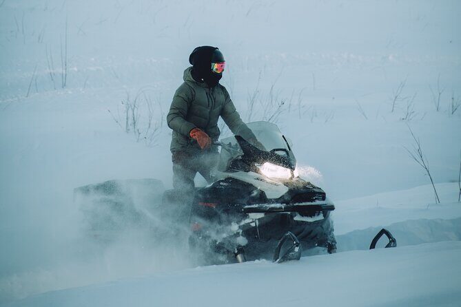 Forest Snowmobile Tour in Alaska - Key Points