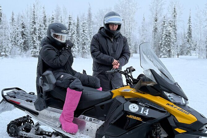 Forest Snowmobile Tour in Alaska - Final Thoughts: Who Will Love This Tour?