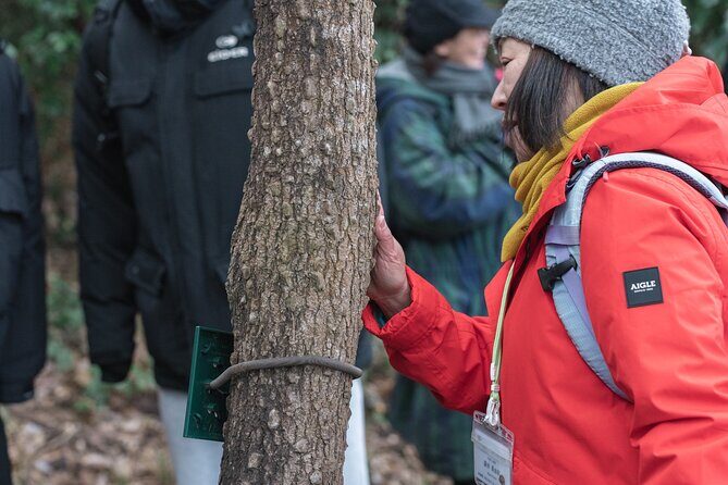 Forest Therapy in Sasaguri town - Key Points