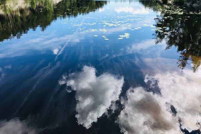 Forestbathing Slow Walking and Healing Spring Water, Stockholm - Who Will Appreciate This Tour?