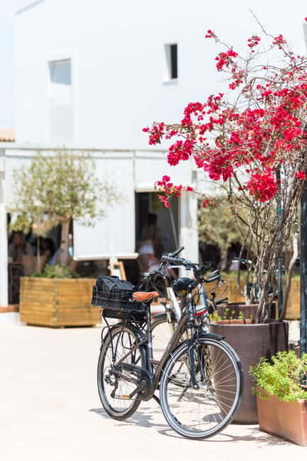 Formentera: discover our fast ferry + bike package - The Sum Up