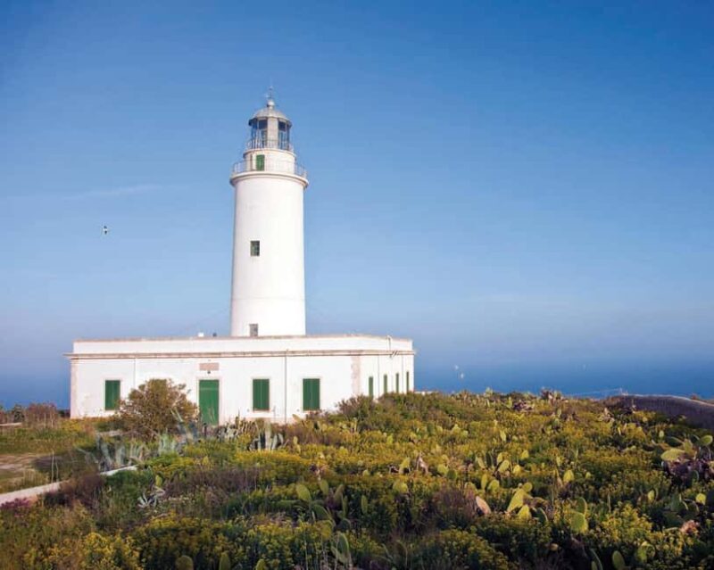 Formentera: discover our fast ferry + electric bike package. - FAQ