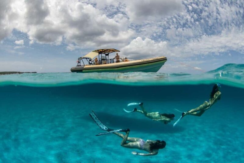 Formentera Natural Park: Snorkeling Experience - Key Points