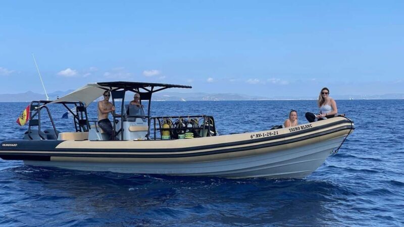 Formentera Natural Park: Snorkeling Experience - Who Should Consider This Experience?