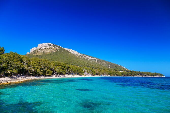 Formentor with boat trip + local market - An In-Depth Look at the Formentor Tour Experience