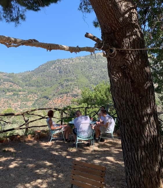 Fornalutx - hiking to the olive farm & oil tasting - The hike: A journey into Mallorca’s mountain olive groves