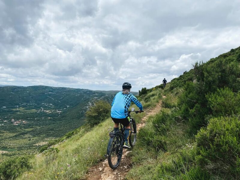 Fórnea E-bike and Olive Oil tour - Is This Tour Right for You?