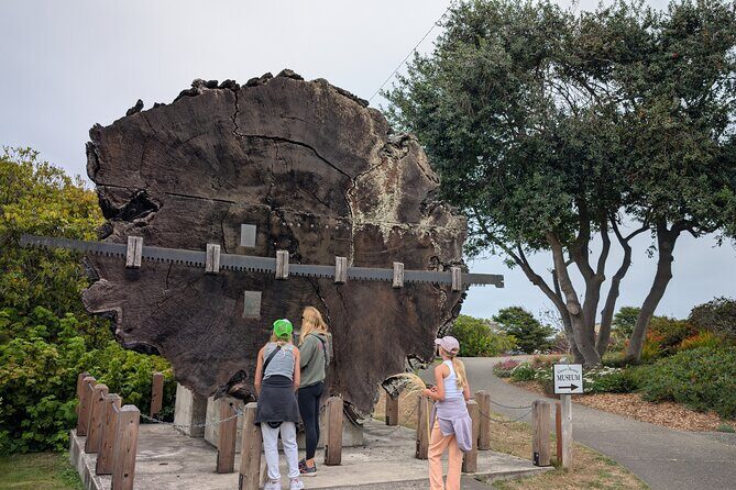 Fort Bragg California Scavenger Hunt Walking Activity and Game - Final Thoughts: Is This Tour Right for You?