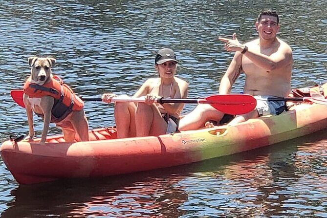 Fort Lauderdale Bonnet House Ground and Guided Paddle Board Kayak - Key Points