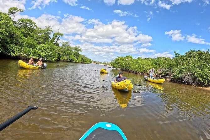 Fort Lauderdale: Kayak and Paddleboard Mangroves Eco Adventure - The Sum Up: Who Will Love This Tour?