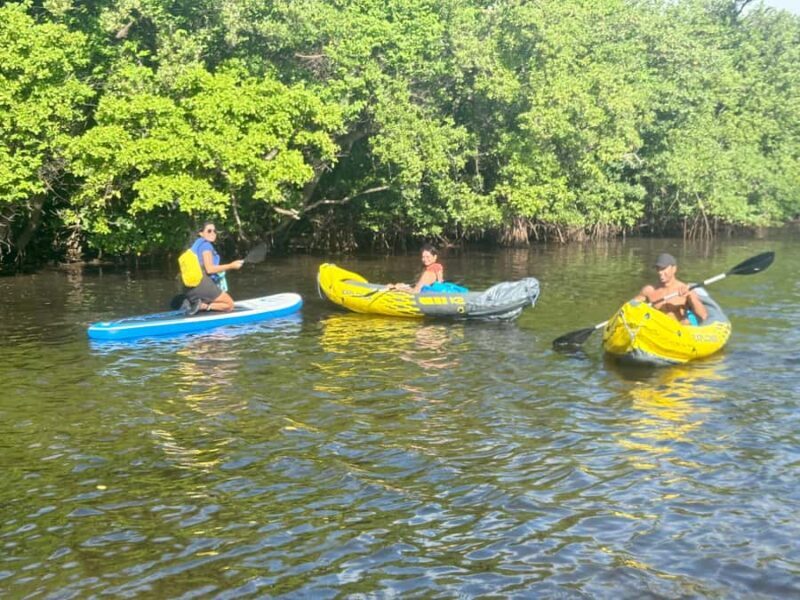 Fort Lauderdale: Kayak & Paddleboard Mangroves Eco Adventure - Key Points