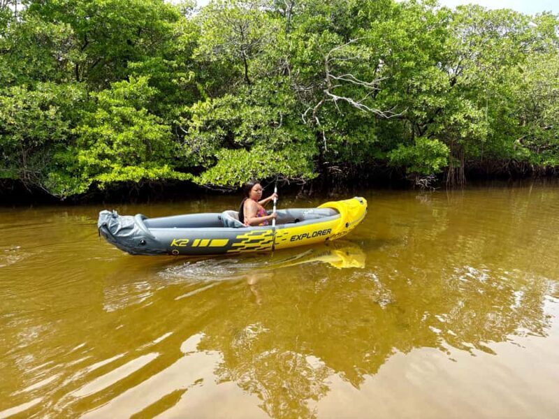 Fort Lauderdale: Kayak & Paddleboard Mangroves Eco Adventure - Practical Considerations