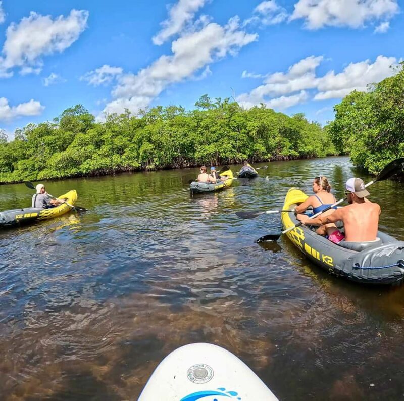 Fort Lauderdale: Kayak & Paddleboard Mangroves Eco Adventure - The Sum Up