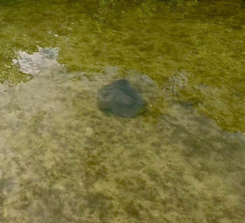 Fort Lauderdale: Kayak & Paddleboard Mangroves Eco Adventure - FAQ