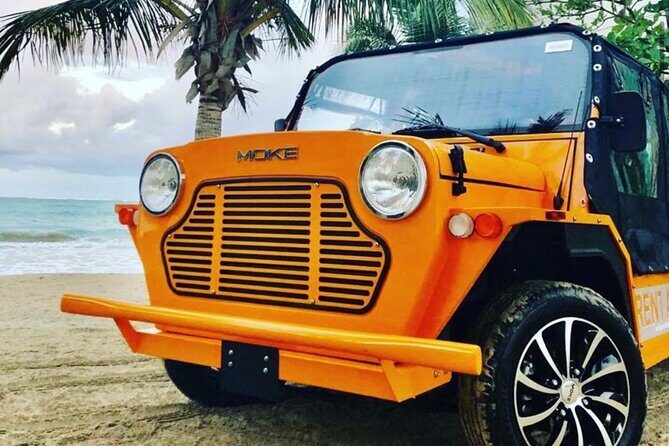 Fort Lauderdale Moke Rentals - Final Thoughts: Is It Worth It?