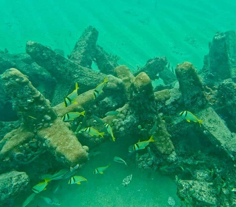 Fort Lauderdale: Ocean Reef Snorkel Tour w/ Snacks & Drinks - The Overall Experience — What Makes It Stand Out?