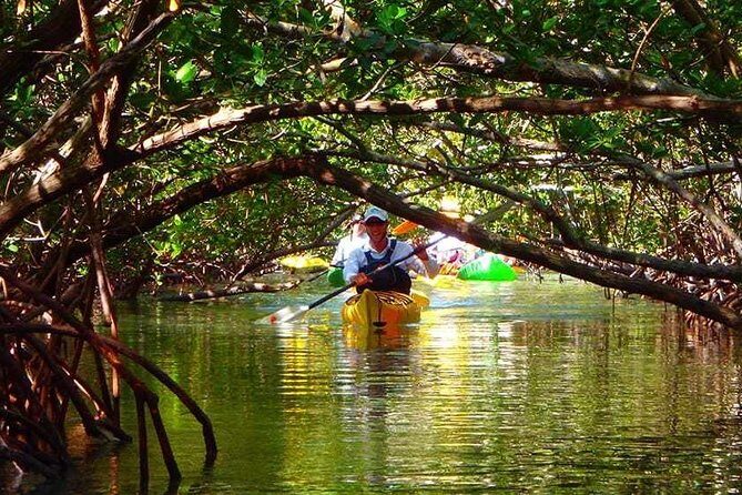 Fort Lauderdales Tropical Kayak Tour and Island Adventure - FAQ