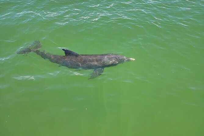 Fort Myers Beach Sunset Excursion - FAQs