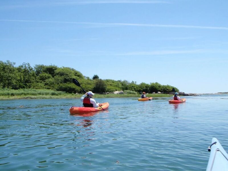 Fort Myers: Guided Kayak or SUP Tour in Pelican Bay - A Detailed Look at the Tour Experience